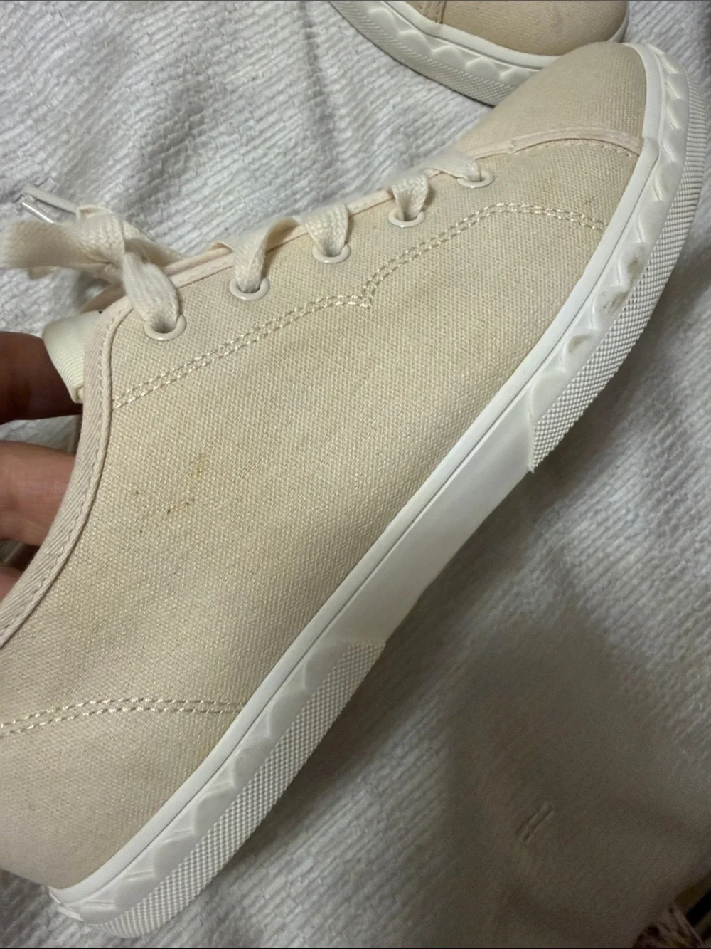 kate spade Canvas Low-Top Sneakers in Soft Cream